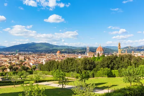 View of Florence with mountains in the distance, Italy