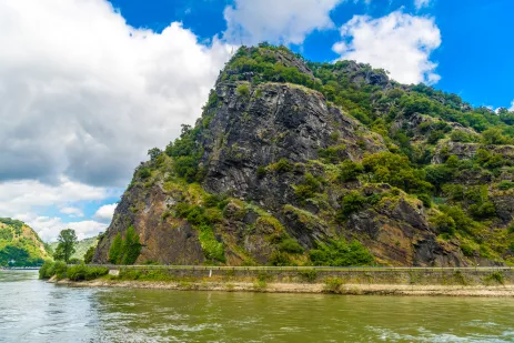 A mighty rocky outcrop on the riverbank of the Rhine partially covered in bushes